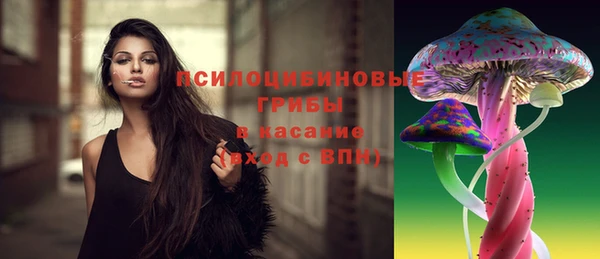 ешки Абаза