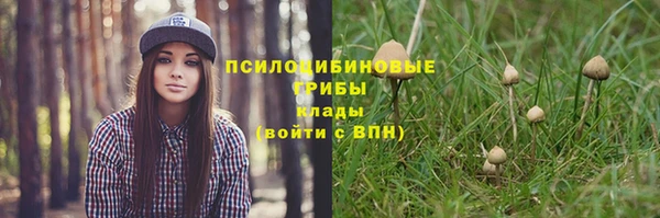 молекула духа Абинск