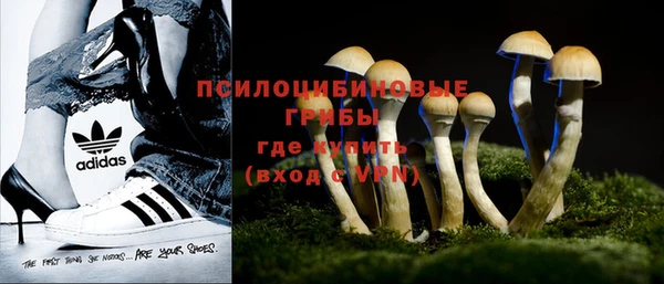 молекула духа Абинск